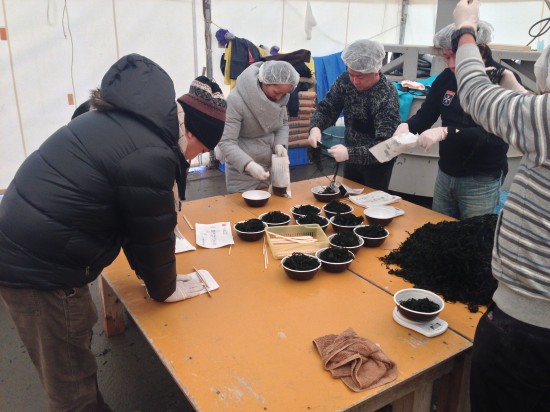 宮城県気仙沼市蔵内漁港でワカメ芯抜きと、袋詰めのボランティア作業をしました。