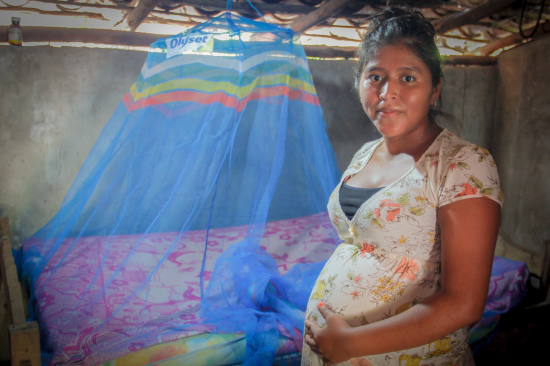 【ジカ熱対策支援】中南米エルサルバドルに防虫剤配合の蚊帳8,870張を寄贈