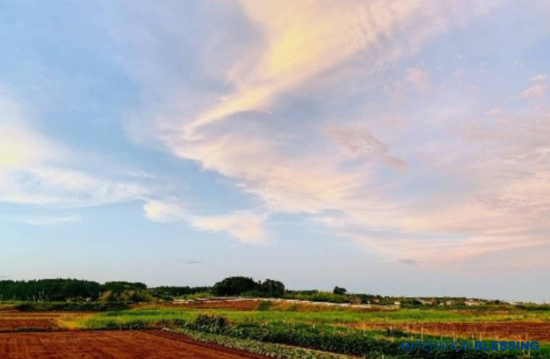 浪江町の田畑と夕焼け